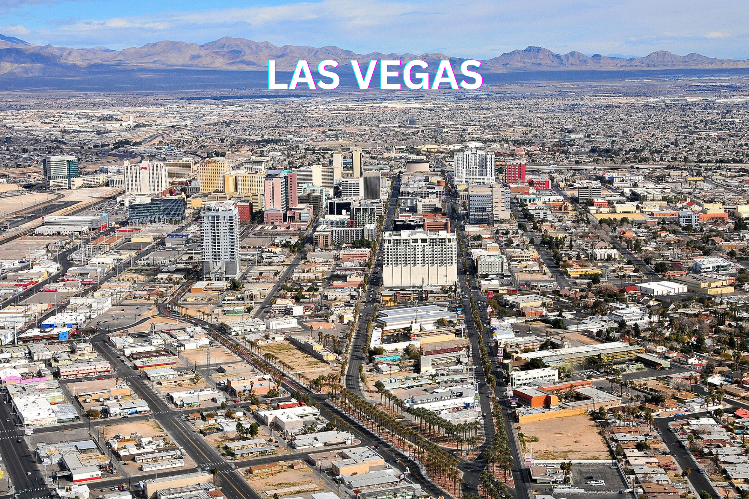 Keep Your Yard Clean with the Best Pooper Scooper Service in Las Vegas