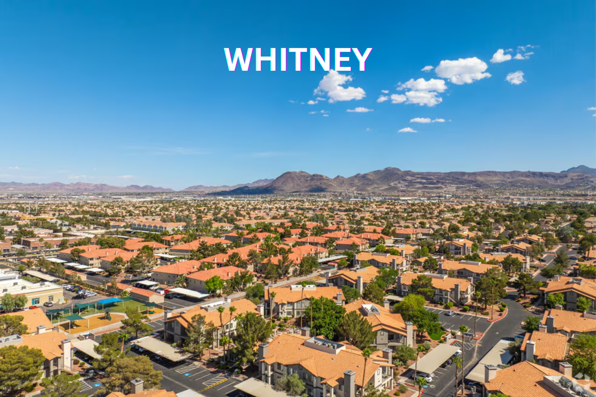 Dog Poop Removal in Whitney — Hassle-Free Yard Cleaning