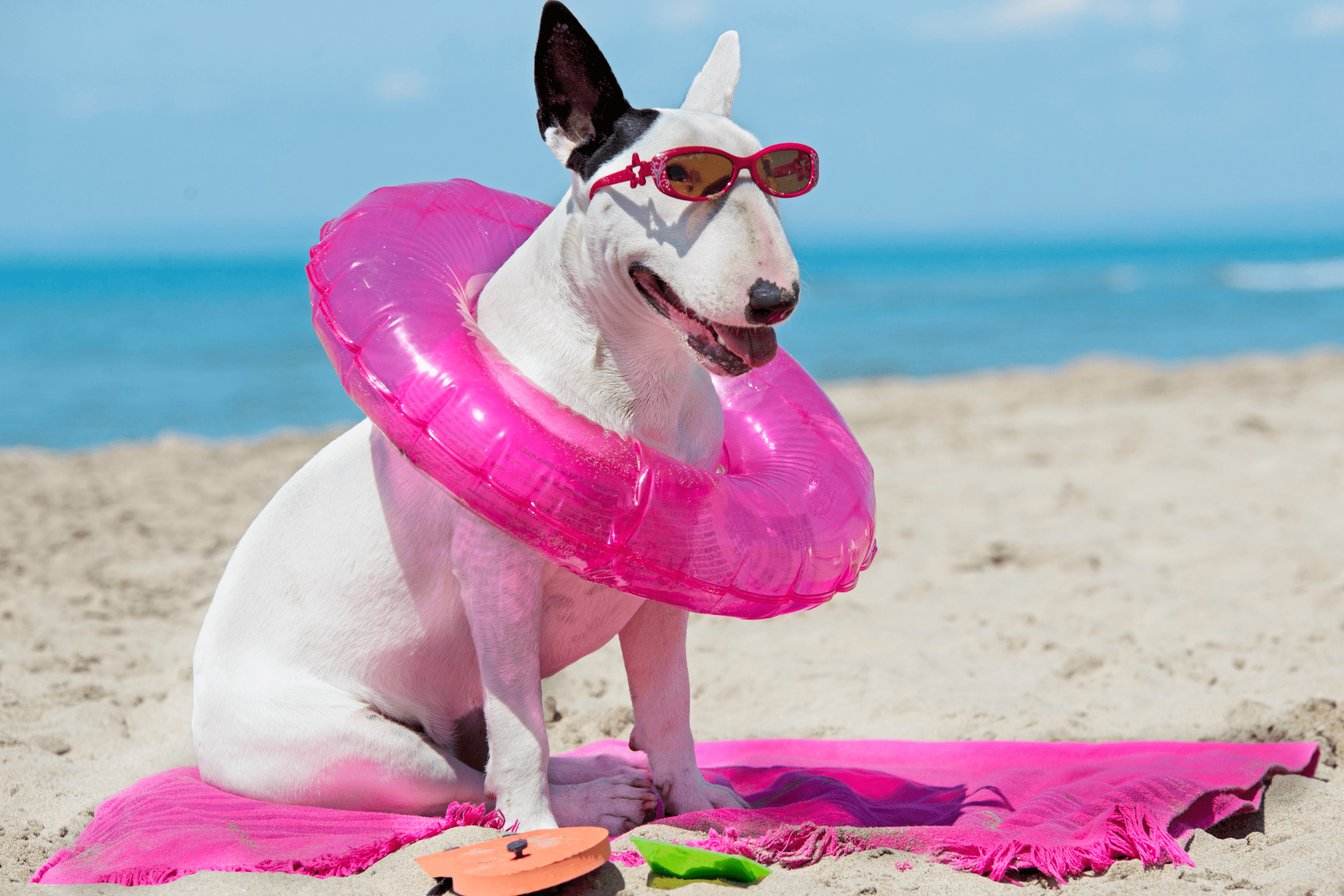 Pooper Scooper Banner - Poo Pickers